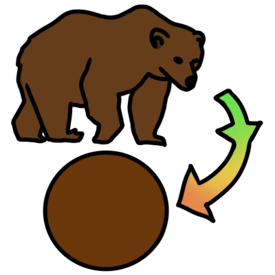 An arrow, in a gradient from green to yellow, points from a brown bear to a brown circle.